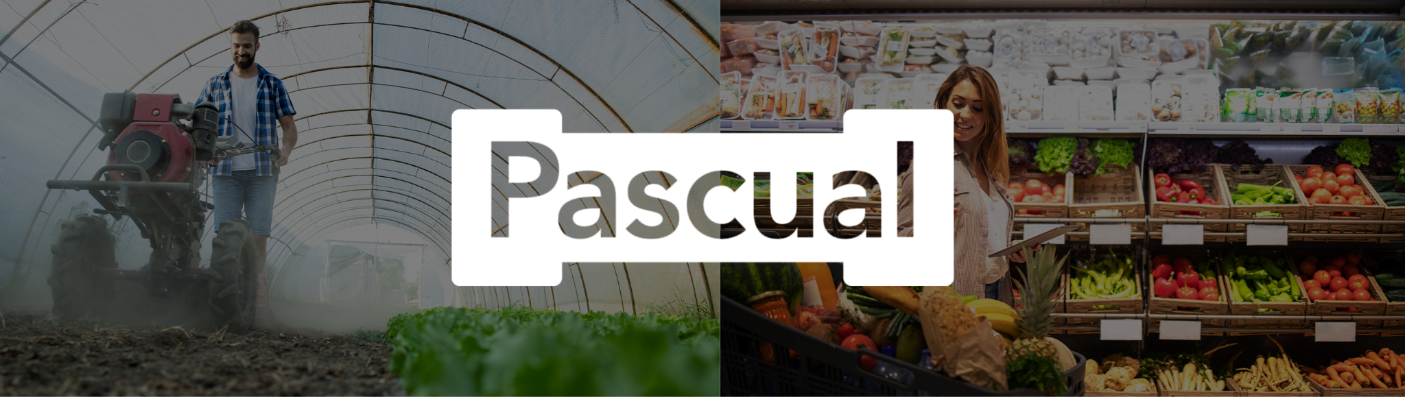andala by pascual andala by pascual